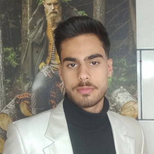 محمد مهدی ولی زاده