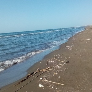 میثم اسمعیلی چاکسری