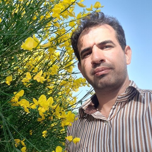 رضا کمانکش