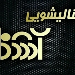 هادی جاوید