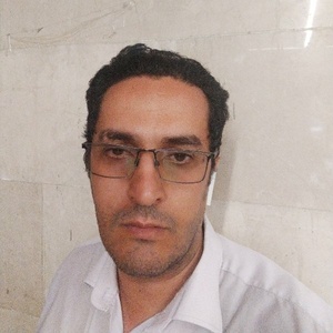 محمد مهدی غلامی