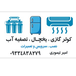 امیر تیموری