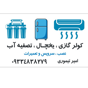 امیر تیموری
