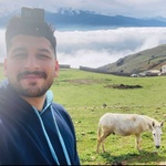 مجتبی منصوری