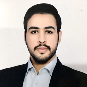 مهدی مفید
