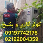 پیمان بالابیگلو