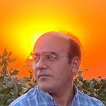 علی گلشاهی
