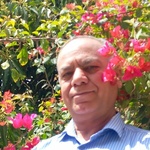 محمد حسن بهرامیه