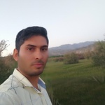 محمد نگارش