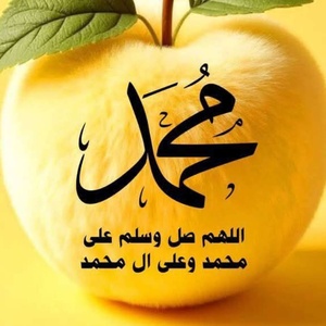 محمد منصوری زاده