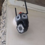 محمد  تیرنیتل