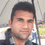 رضا گلمکانی