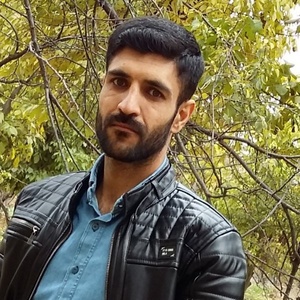 حامد لطفی
