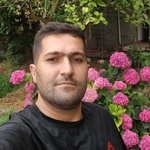 علی لطفی