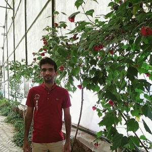 محمدحسین شهبازی