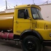 سعید فلاحی