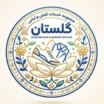 محمد رسولی