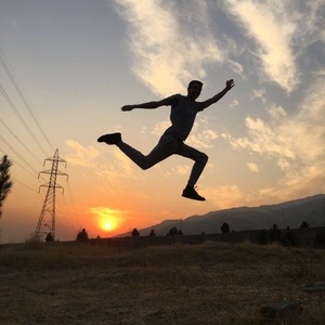 میثم کریمی ایوانکی