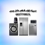 امیر حسین دانش حیدری