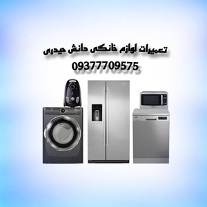 امیر حسین دانش حیدری