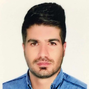 سید مصطفی اولیایی