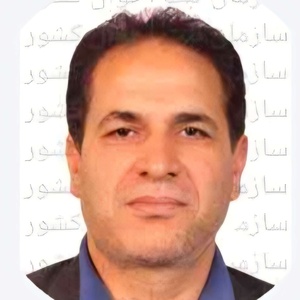 حسین فرجی