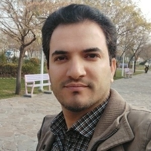 سید جعفر شجاع رضوی