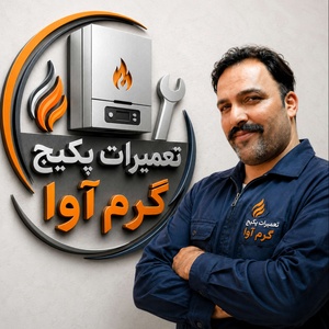 علیرضا نوروزی