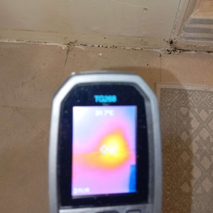 امید طرهانی