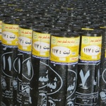 نجف حیدری