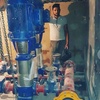 حسین محمدی