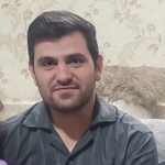 وحید سبزی