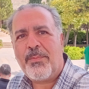 علیرضا محمودی نسب