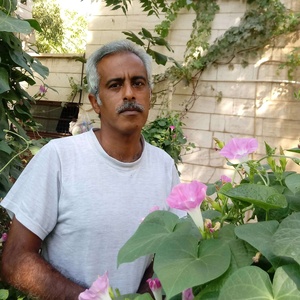 صادق جعفری نسب