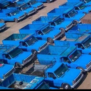 نادر ابراهیمی