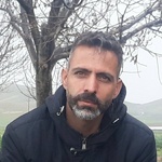 حامد سلیمانی