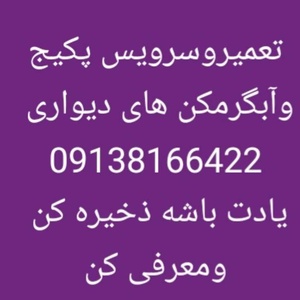 مصطفی یارعلی