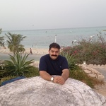تصویر پروفایل مجتبی محمدی
