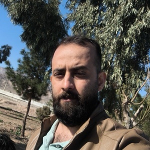 شاهین حسنی