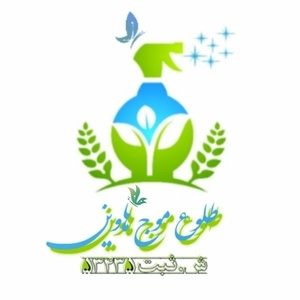 محمدحسین معینی