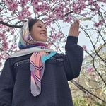 متین صیفی