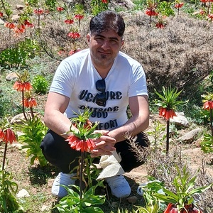 مرتضی جعفری هرستانی
