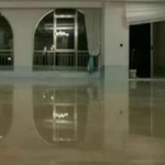 مرتضی شارعی امرغان