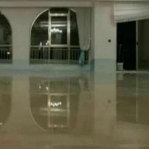 مرتضی شارعی امرغان