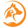 حسن مهرآبادی