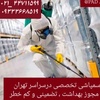 حسن سهرابیان سرحوضکی