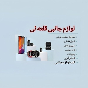 مهدی قلعه ئی