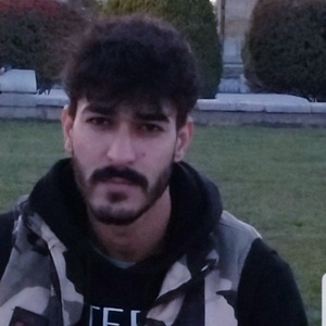 مجتبی میرزائی