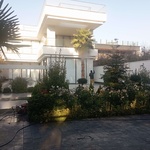 علی عقیقی سلیمان پور