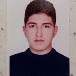ابوالفضل لطفی